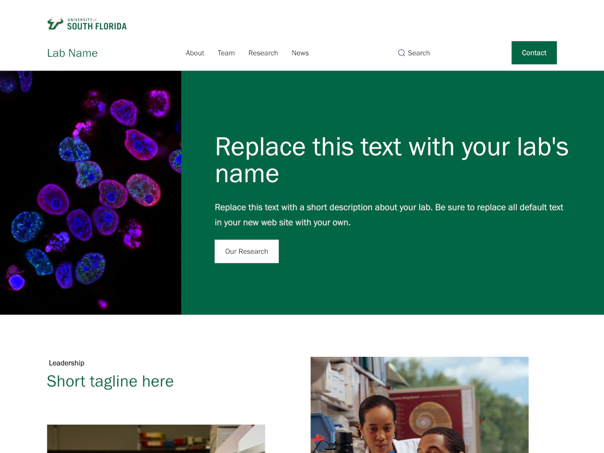 USF Modern Lab template homepage
