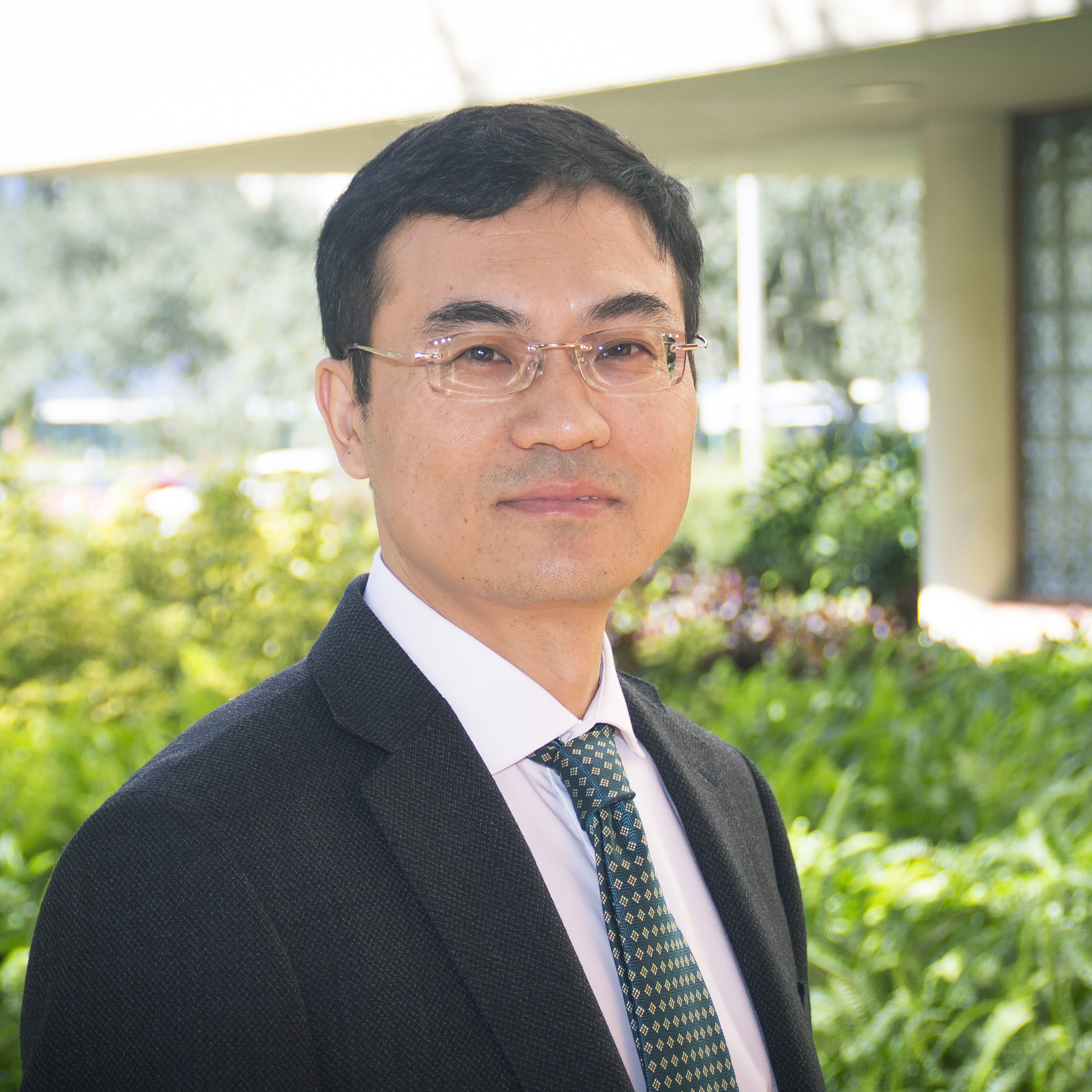 Headshot of Qing Lu