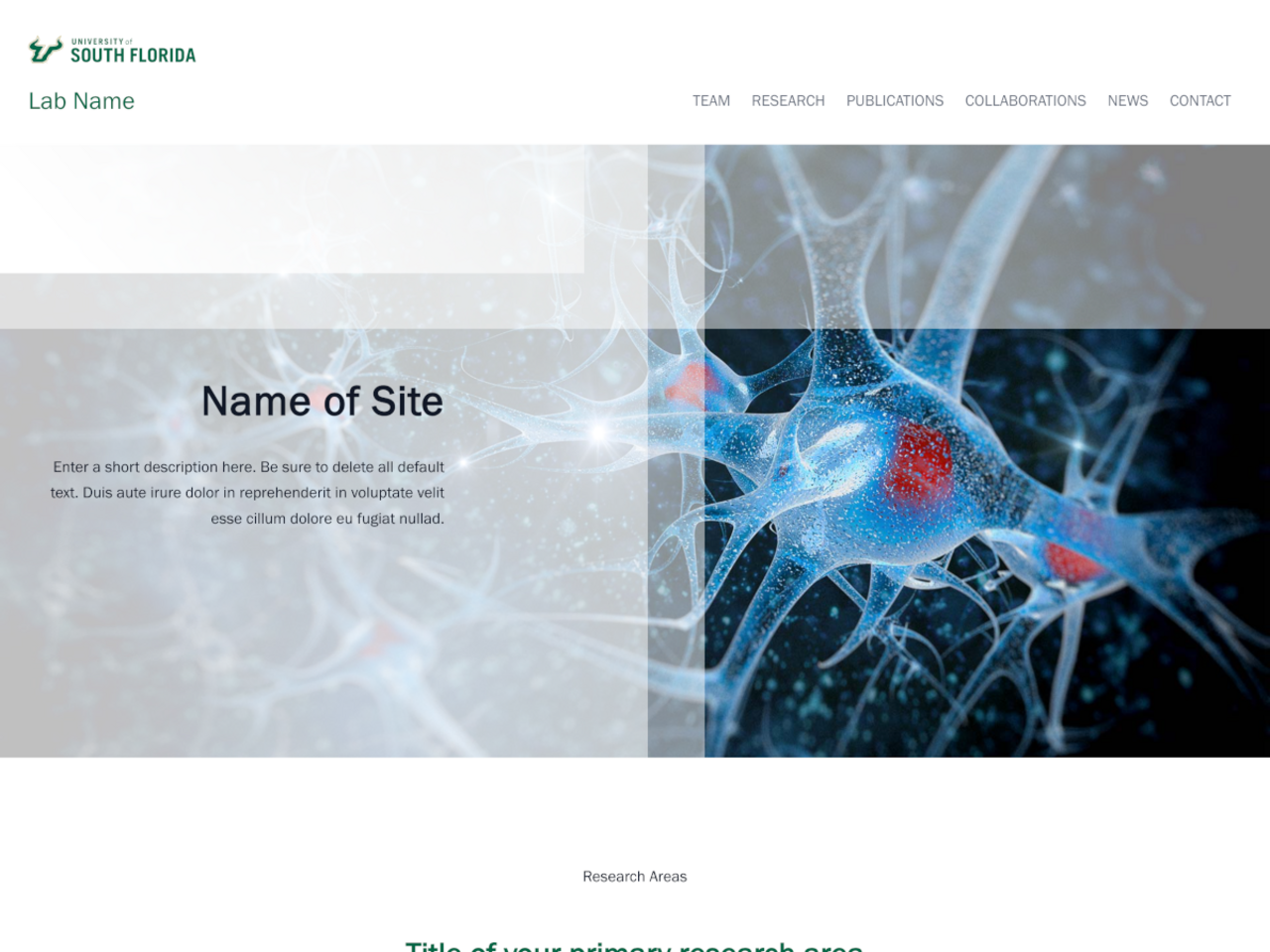 USF Huntington Template homepage