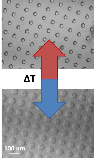 dynamic micro texture