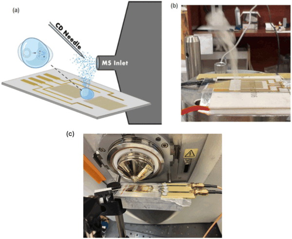 Collage of images showing a needle inlet, a lab setup, and a microscopic view.